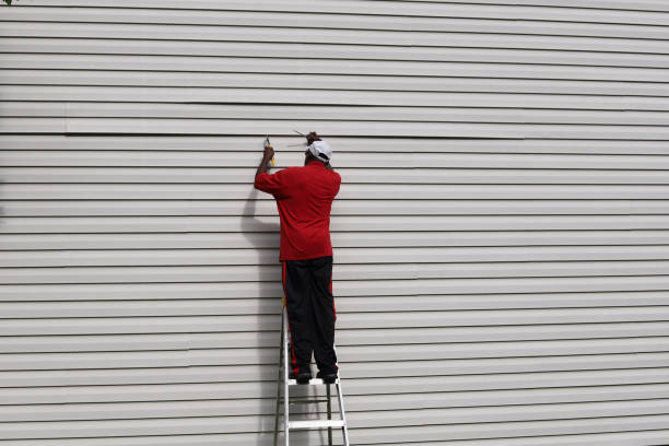 Best Vinyl Siding Installation  in Valencia West, AZ