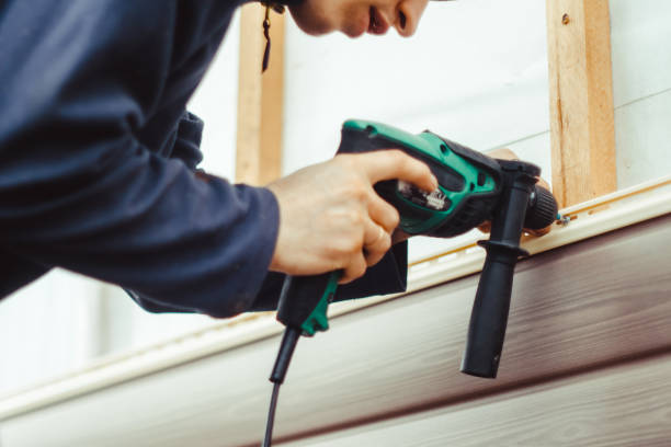 Best Custom Trim and Detailing for Siding  in Valencia West, AZ